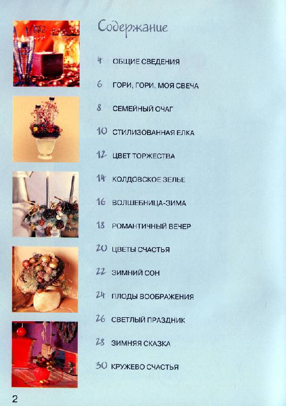 Иллюстрация 13 из 46 для Флористика: праздничные композиции - Елена Смирнова | Лабиринт - книги. Источник: Кнопа2