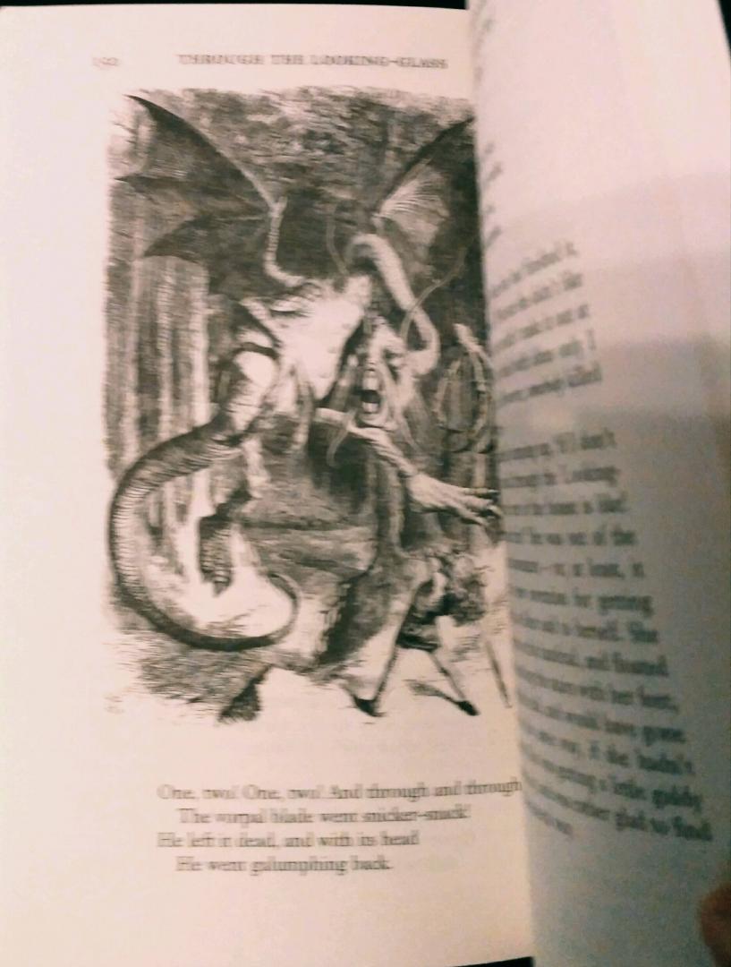 Иллюстрация 25 из 31 для Alice in Wonderland & Through the Looking-Glass - Lewis Carroll | Лабиринт - книги. Источник: Куликов Иван