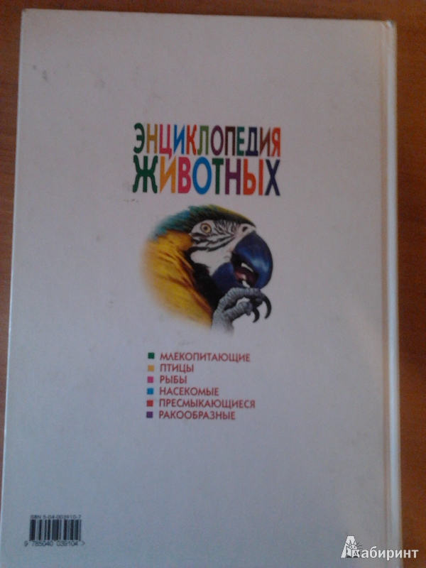 Иллюстрация 30 из 37 для Энциклопедия животных | Лабиринт - книги. Источник: Иванова  Елена