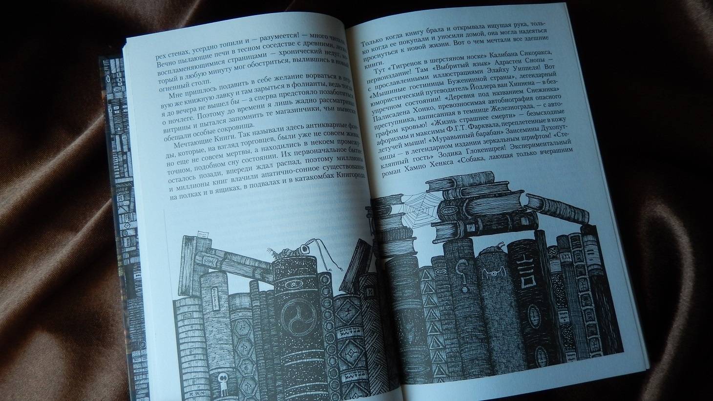 Иллюстрация 66 из 73 для Город Мечтающих Книг - Вальтер Моэрс | Лабиринт - книги. Источник: Тишина