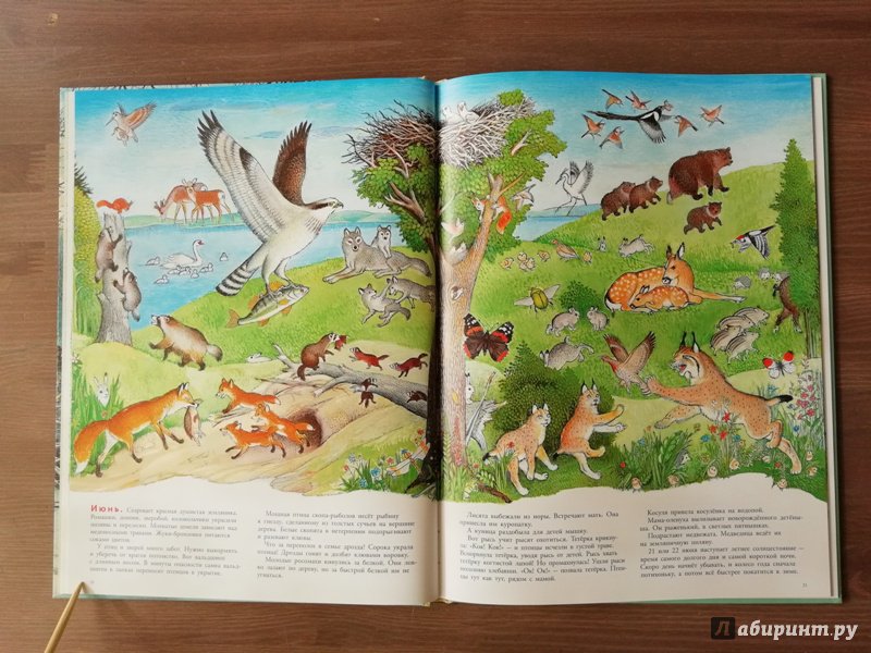 Иллюстрация 77 из 109 для В лесу - Петр Багин | Лабиринт - книги. Источник: Гошева  Елена