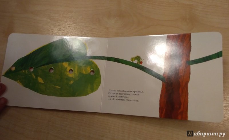 Иллюстрация 56 из 86 для Очень голодная гусеница - Эрик Карл | Лабиринт - книги. Источник: Лабиринт