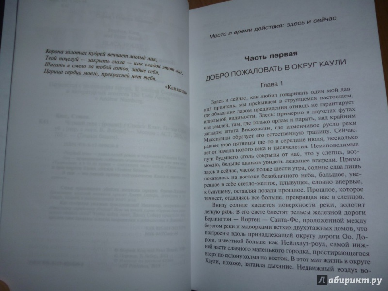 Иллюстрация 15 из 32 для Черный дом - Кинг, Страуб | Лабиринт - книги. Источник: Бабкин  Михаил Юрьевич