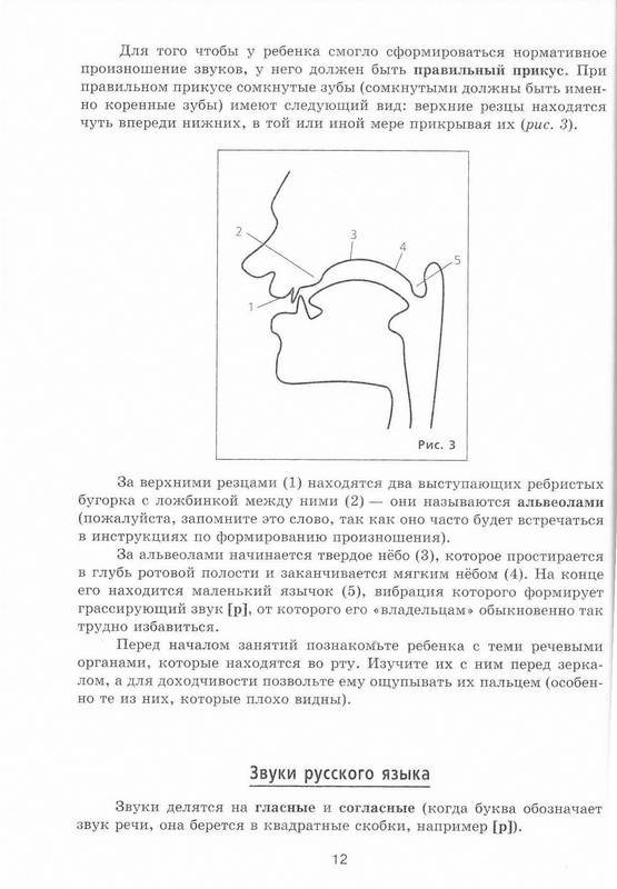 Иллюстрация 3 из 14 для Самоучитель по логопедии. Популярная логопедия - Марина Полякова | Лабиринт - книги. Источник: Ялина