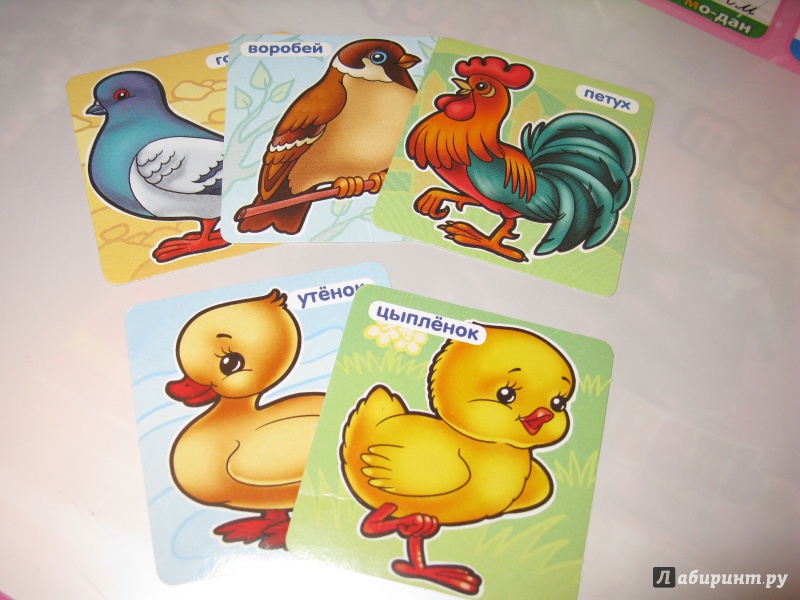 Иллюстрация 2 из 18 для Развивающая игра-лото для детей 3-5 лет "Птицы" (05262) | Лабиринт - игрушки. Источник: sova2128
