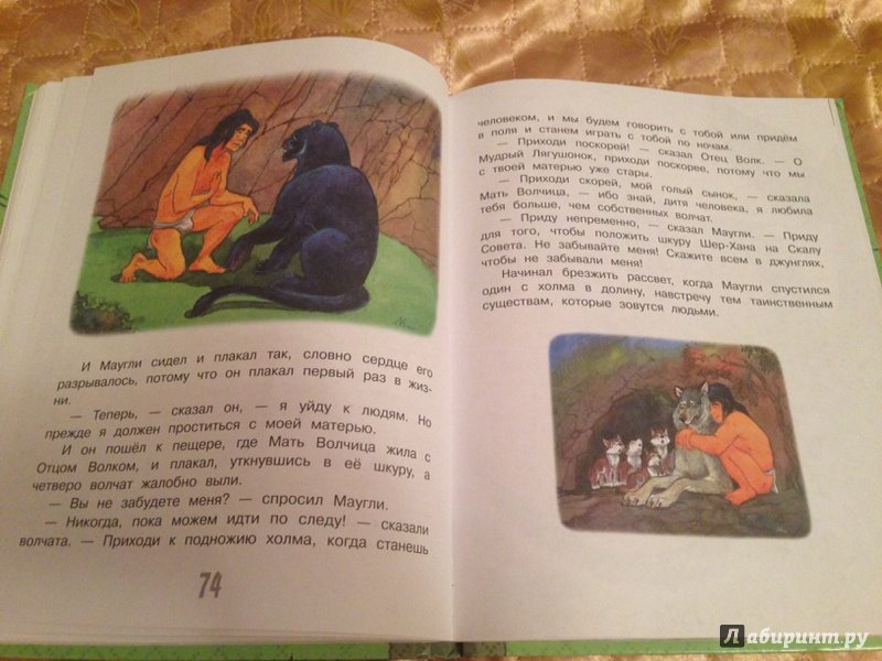 Иллюстрация 13 из 19 для Маугли. Сказки - Редьярд Киплинг | Лабиринт - книги. Источник: Кожухова  Юлия