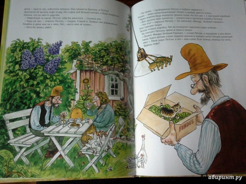 Иллюстрация 58 из 102 для История о том как Финдус потерялся, когда был маленьким - Свен Нурдквист | Лабиринт - книги. Источник: Юлия
