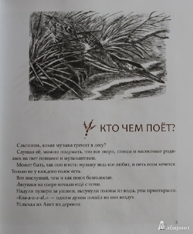 Иллюстрация 5 из 49 для Лесные разведчики - Виталий Бианки | Лабиринт - книги. Источник: Elena