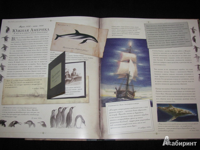 Иллюстрация 17 из 54 для Чарлз Дарвин и путешествие на "Бигле" - Твист, Вуд | Лабиринт - книги. Источник: Nemertona