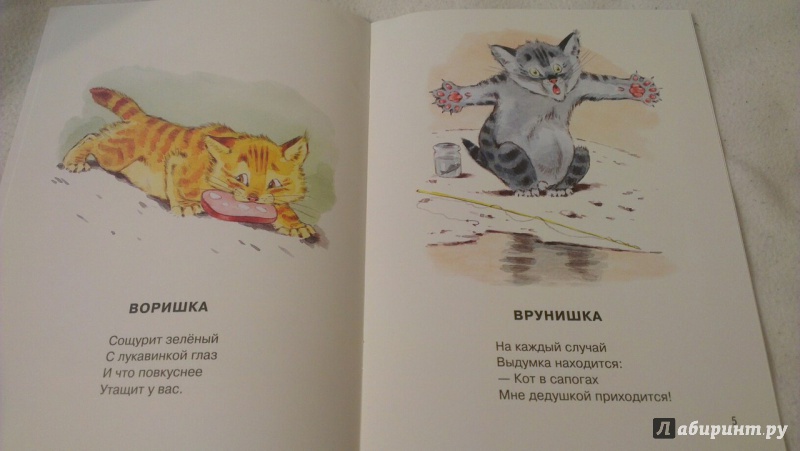 Иллюстрация 46 из 64 для Посмотрите какие котята - Владимир Матвеев | Лабиринт - книги. Источник: Кузнецова  Елена