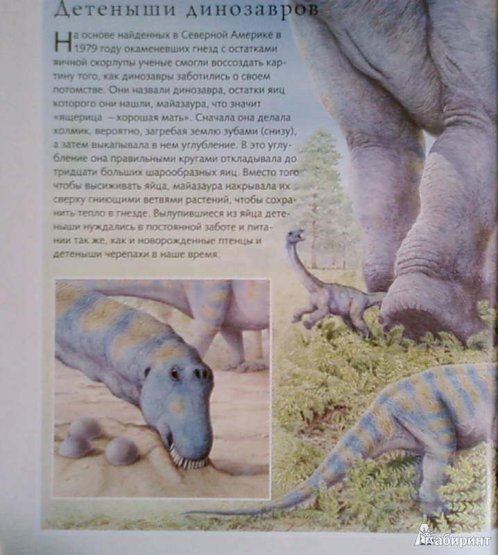 Иллюстрация 11 из 47 для В поисках динозавра - Николас Харрис | Лабиринт - книги. Источник: Лилия белая