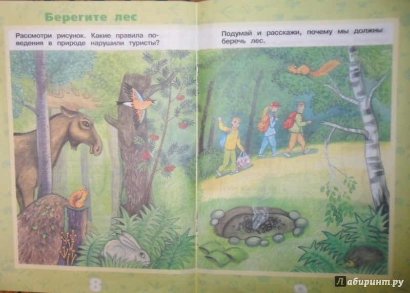 Иллюстрация 9 из 28 для Животные леса - Ольга Тишурина | Лабиринт - книги. Источник: Наталья