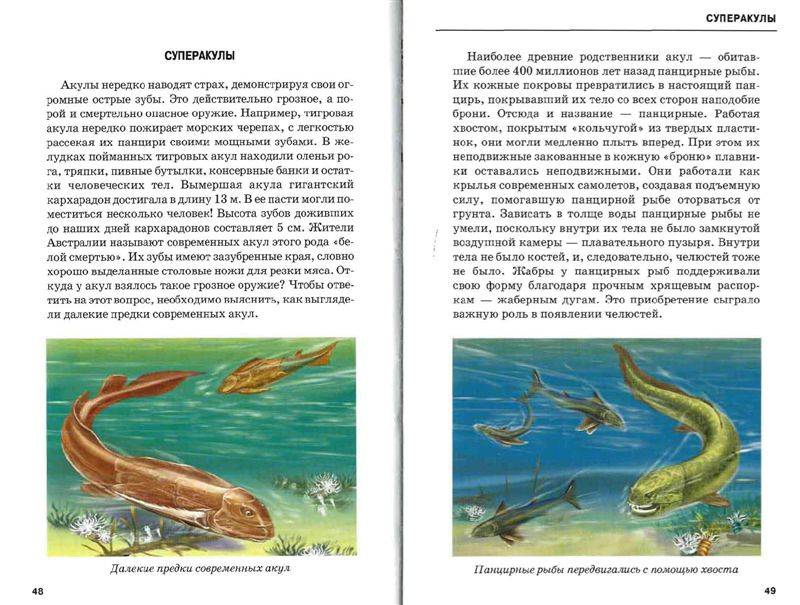 Иллюстрация 20 из 30 для В морях и океанах - Сергей Афонькин | Лабиринт - книги. Источник: Юта