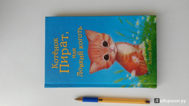 Иллюстрация 32 из 65 для Котёнок Фиалка, или Коробка с сюрпризом - Холли Вебб | Лабиринт - книги. Источник: Masha sun