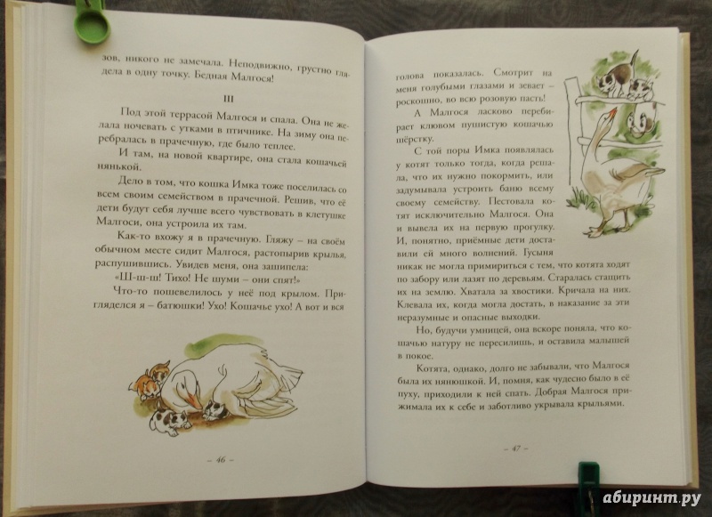 Иллюстрация 38 из 43 для Муха с капризами - Ян Грабовский | Лабиринт - книги. Источник: Агаточка