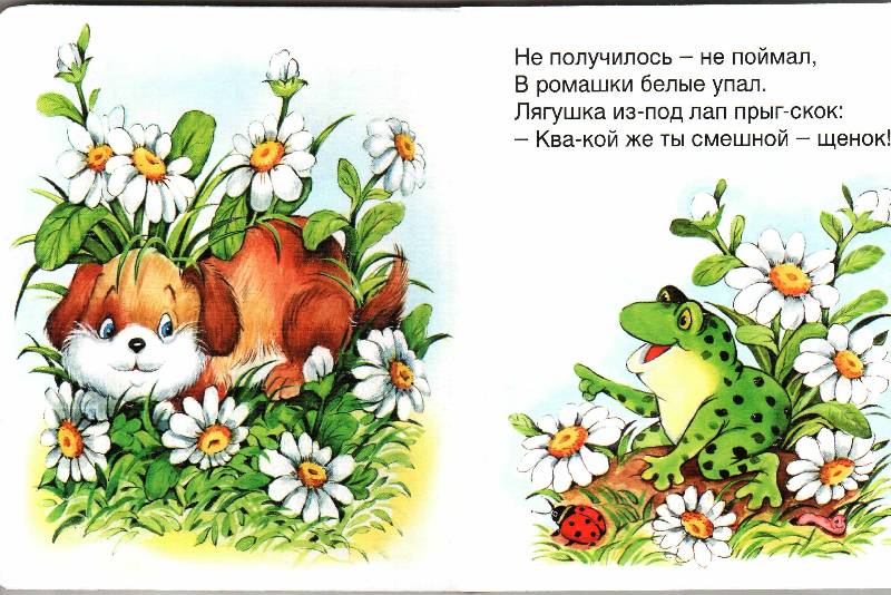 Иллюстрация 12 из 13 для Щенок Дружок - Владимир Борисов | Лабиринт - книги. Источник: Апельсинка