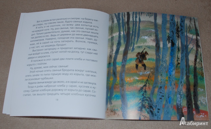 Иллюстрация 12 из 15 для Цапля - Евгений Чарушин | Лабиринт - книги. Источник: Книжный кот