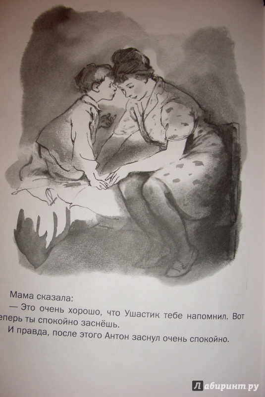 Иллюстрация 9 из 27 для Рассказы про Антона - Руфь Зернова | Лабиринт - книги. Источник: aliceinw