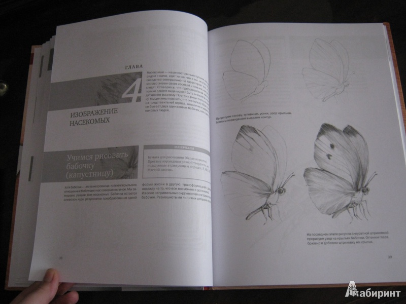 Иллюстрация 6 из 31 для Простые уроки рисования для начинающих - Виктория Мазовецкая | Лабиринт - книги. Источник: Стрелец  Евгения