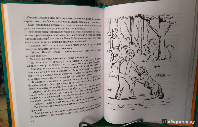 Иллюстрация 24 из 35 для Ручей старого бобра - Александр Шаров | Лабиринт - книги. Источник: Бог в помощь