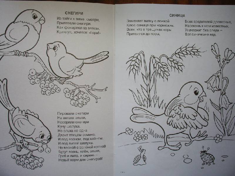 Иллюстрация 2 из 19 для Кто обедает в лесу - Юрий Чичев | Лабиринт - книги. Источник: Tiger.