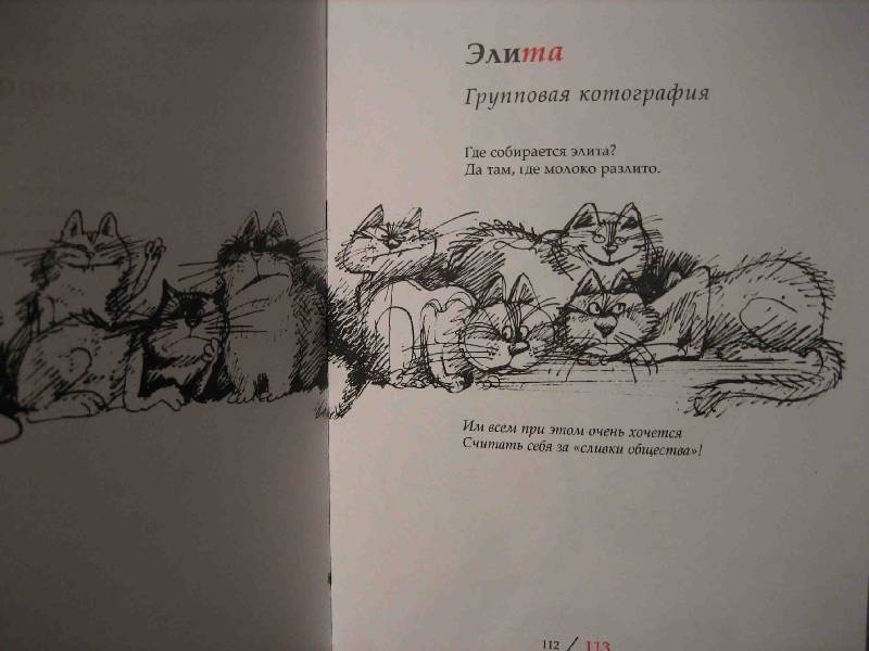 Иллюстрация 30 из 43 для Планета кошек - Усачев, Чижиков | Лабиринт - книги. Источник: Трухина Ирина