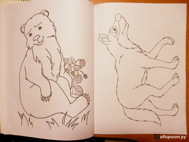 Иллюстрация 16 из 46 для Суперраскраска. Животные | Лабиринт - книги. Источник: Грашина  Варвара Анатольевна