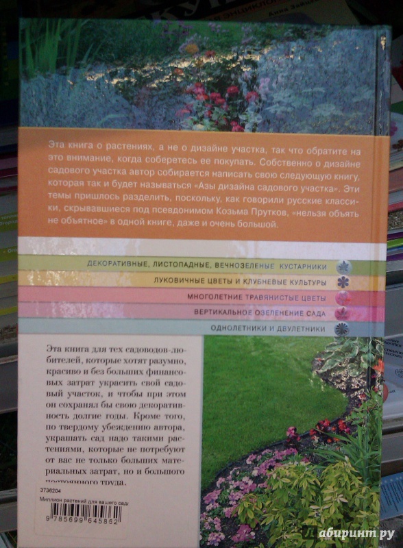 Иллюстрация 25 из 37 для Миллион растений для вашего сада - Галина Кизима | Лабиринт - книги. Источник: Никонов Даниил