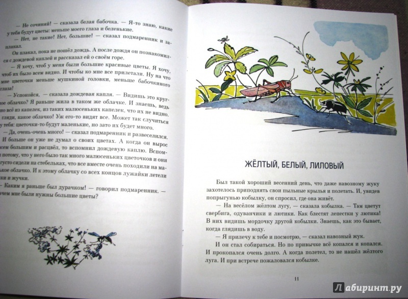 Иллюстрация 47 из 62 для Желтый, белый, лиловый - Нина Павлова | Лабиринт - книги. Источник: Бог в помощь