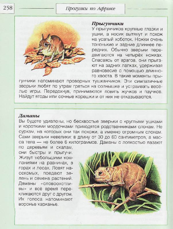 Иллюстрация 24 из 28 для Живая природа - Александр Тихонов | Лабиринт - книги. Источник: Наталья Плотникова