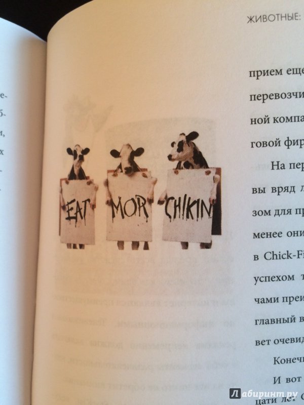 Иллюстрация 6 из 11 для Визуальный молоток. Как образы побеждают тысячи слов - Лаура Райс | Лабиринт - книги. Источник: Гостева  Анастасия Александровна