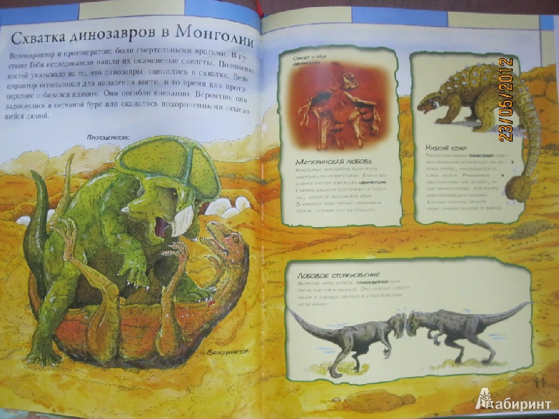 Иллюстрация 12 из 17 для Детский атлас динозавров - Дэвид Бурнье | Лабиринт - книги. Источник: Гилева  Любовь Валерьевна