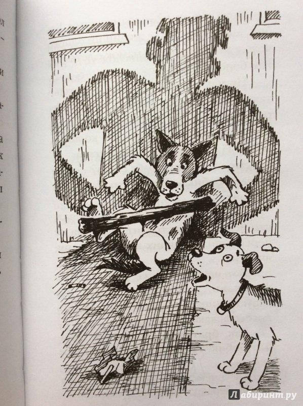 Иллюстрация 29 из 30 для Пончик идет по следу - Карен Арутюнянц | Лабиринт - книги. Источник: Колесникова  Светлана