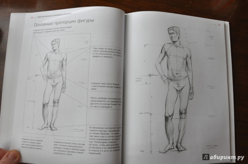 Иллюстрация 4 из 23 для Как рисовать фигуру человека. Пособие для поступающих в художественные вузы - Александр Рыжкин | Лабиринт - книги. Источник: Аблакотова  Надежда