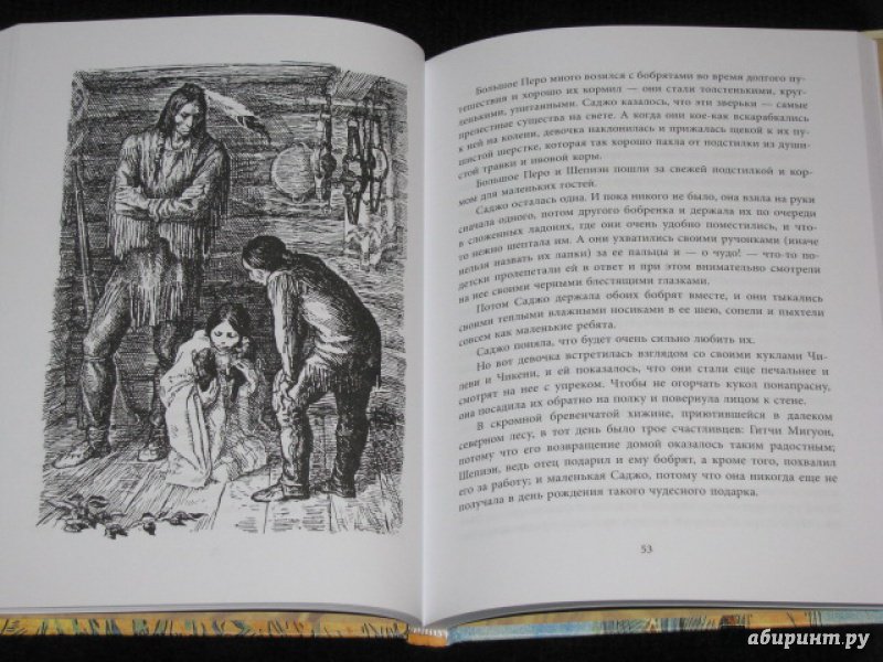 Иллюстрация 27 из 38 для Саджо и ее бобры - Сова Серая | Лабиринт - книги. Источник: Nemertona