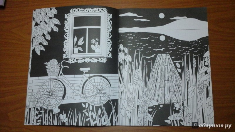 Иллюстрация 13 из 20 для Ночные мотивы. Книжка-раскраска | Лабиринт - книги. Источник: ЛиС-а
