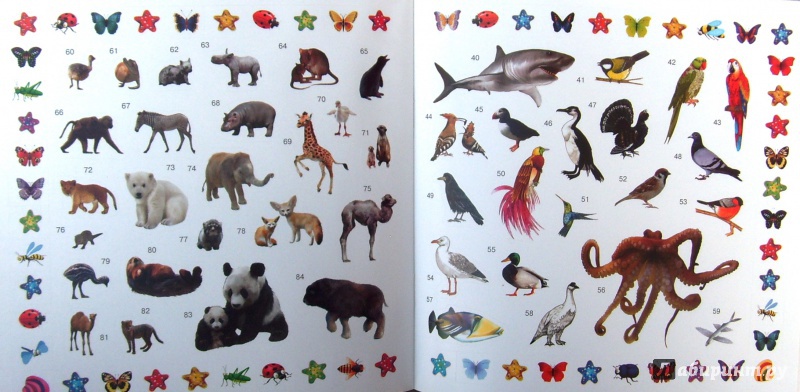 Иллюстрация 6 из 17 для 400 чудо-наклеек. Все животные | Лабиринт - книги. Источник: Соловьев  Владимир