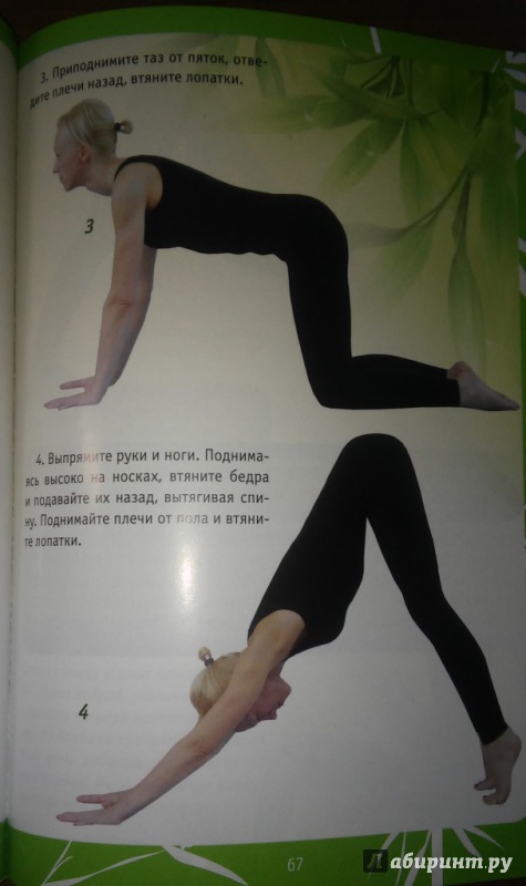 Иллюстрация 9 из 13 для The Gift of Yoga. Подарочный комплект  (+DVD) - Ирина Шевцова | Лабиринт - книги. Источник: WhiteOwl