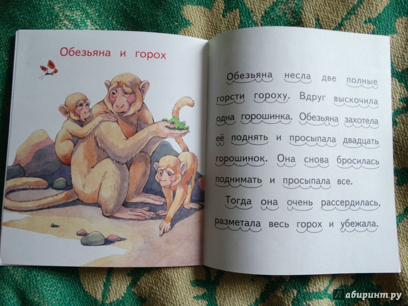 Иллюстрация 24 из 24 для Волк и собака - Лев Толстой | Лабиринт - книги. Источник: Пиккель  Василина