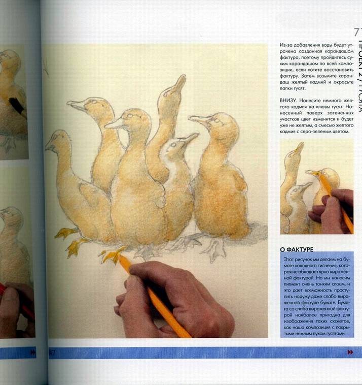Иллюстрация 2 из 2 для Рисуем цветными карандашами - Джон Барбер | Лабиринт - книги. Источник: * Ольга *
