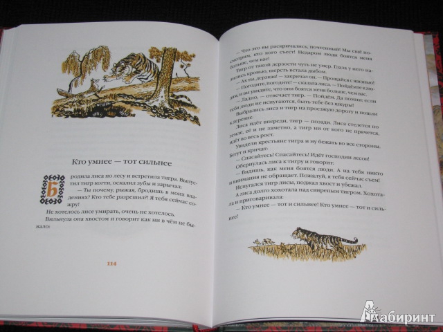 Иллюстрация 29 из 63 для Свадьба дракона: китайские сказки - Нисон Ходза | Лабиринт - книги. Источник: Nemertona