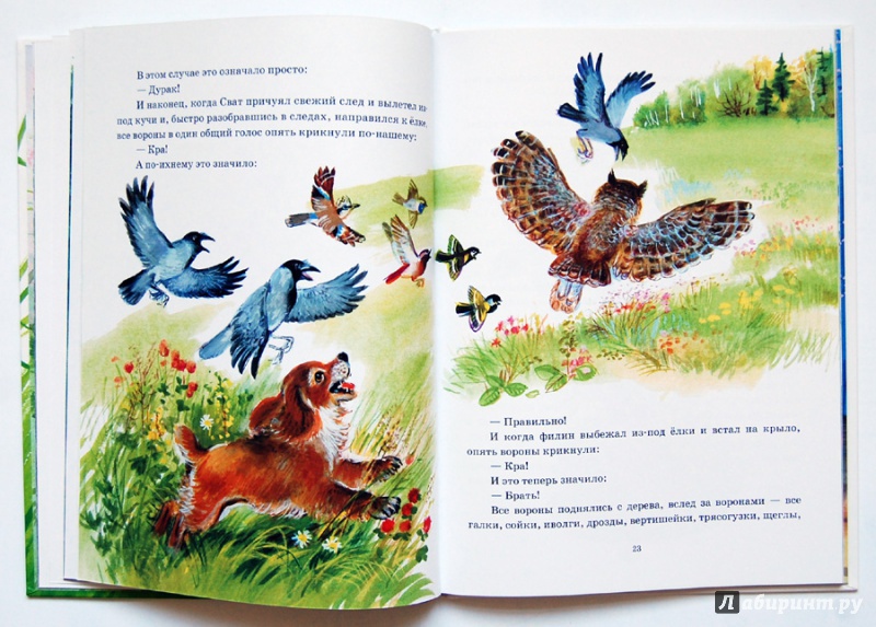 Иллюстрация 11 из 78 для Охота за бабочкой - Михаил Пришвин | Лабиринт - книги. Источник: ecix