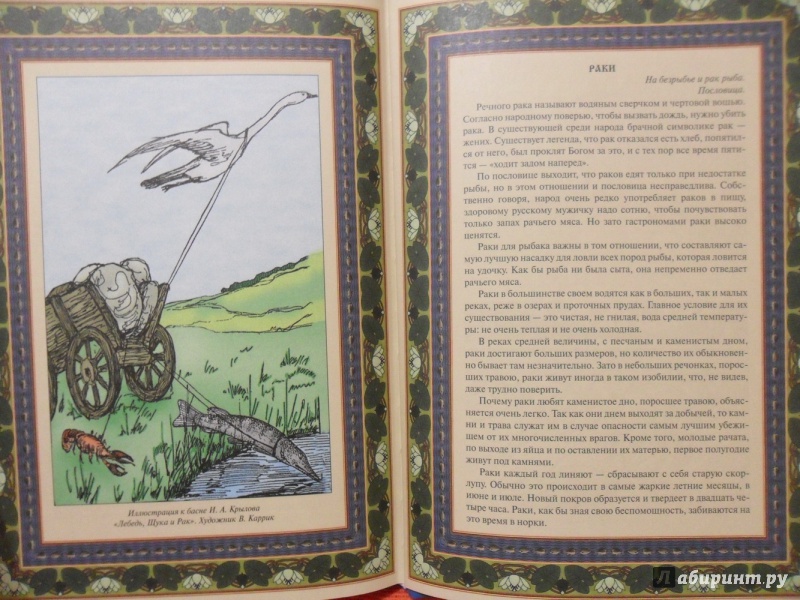 Иллюстрация 15 из 33 для Русская рыбалка | Лабиринт - книги. Источник: sleits
