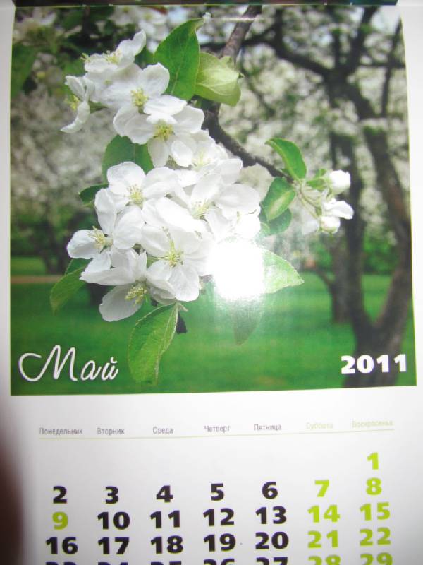 Иллюстрация 4 из 7 для Календарь 2011. "Палитра цветов" | Лабиринт - сувениры. Источник: Мурка
