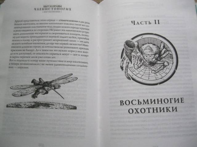 Иллюстрация 30 из 32 для Быт и нравы членистоногих - В. Ползиков | Лабиринт - книги. Источник: NINANI