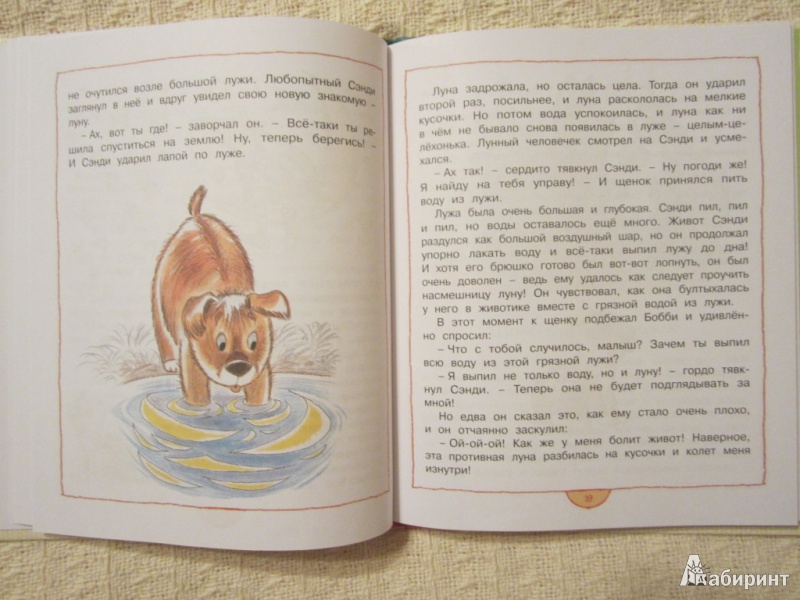 Иллюстрация 30 из 47 для Шоколадный кролик - Энид Блайтон | Лабиринт - книги. Источник: ЮлияО