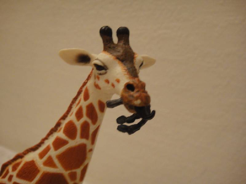 Иллюстрация 4 из 4 для Жираф пятнистый (268429) | Лабиринт - игрушки. Источник: Алехина  Ксения
