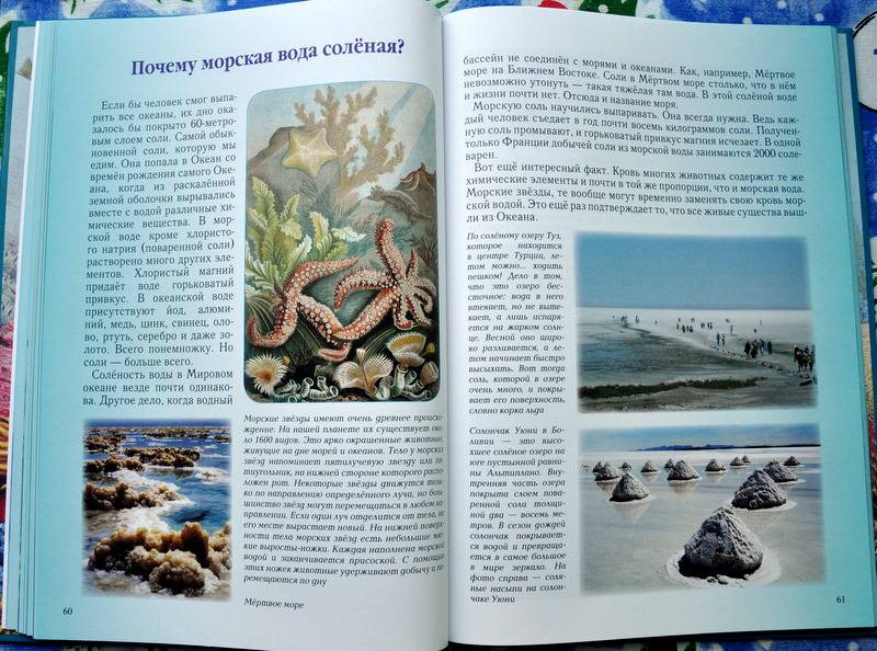 Иллюстрация 17 из 45 для Мир Океана - Сергей Махотин | Лабиринт - книги. Источник: Ассоль