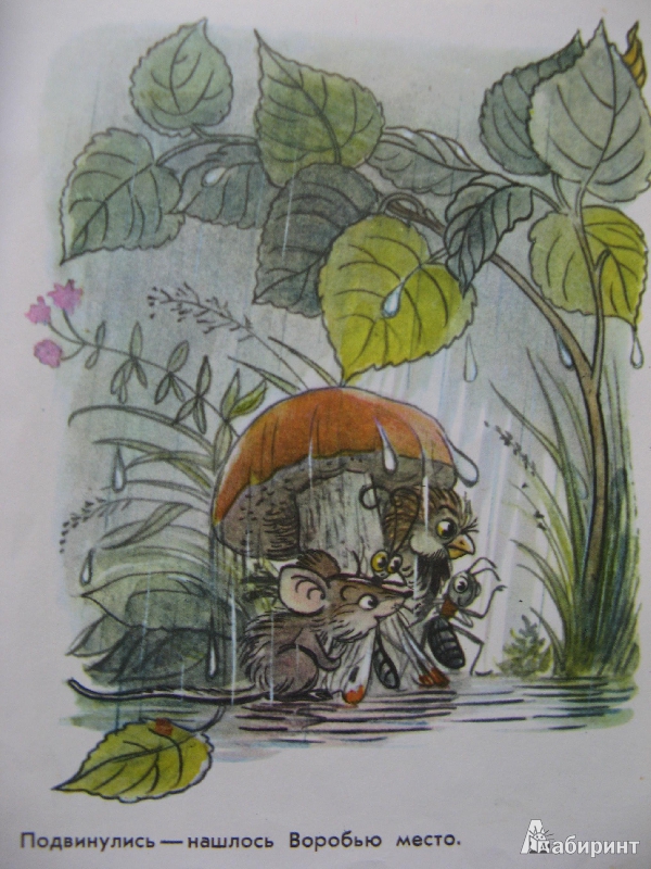 Иллюстрация 3 из 20 для Книга сказок для семейного чтения - Бианки, Заходер, Сутеев | Лабиринт - книги. Источник: Ольга