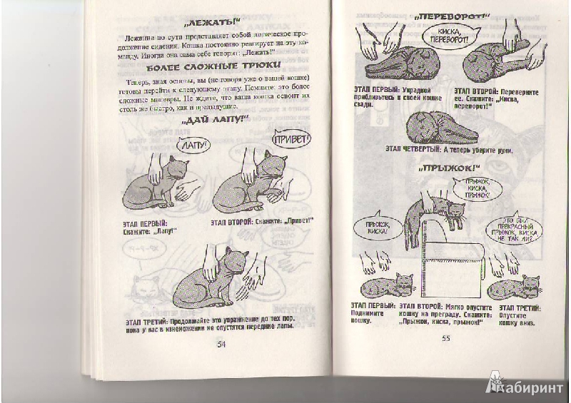 Иллюстрация 25 из 35 для Как жить с кошкой-невротиком - Стивен Бейкер | Лабиринт - книги. Источник: Tiger.